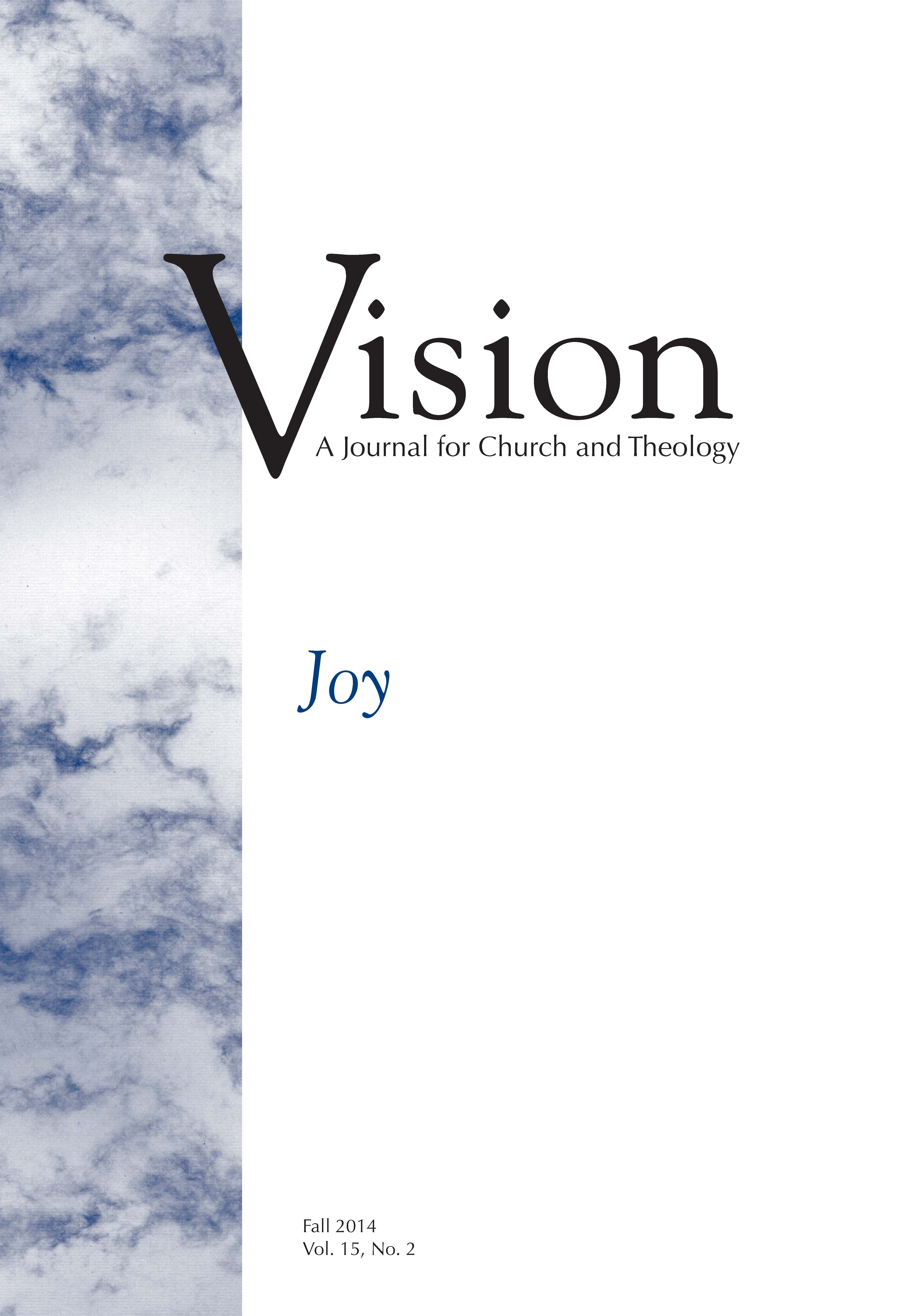 vision cover joy